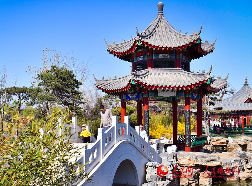 春天的雄安郊野公園，春和景明。人民網(wǎng)宋燁文攝