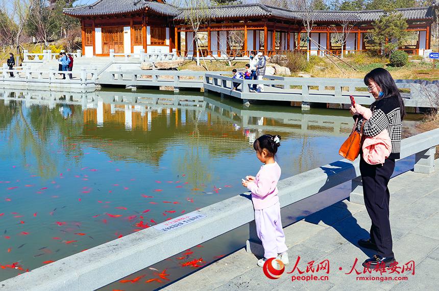 雄安悅?cè)莨珗@一角，不少家長帶著孩子前來游玩。人民網(wǎng)宋燁文攝