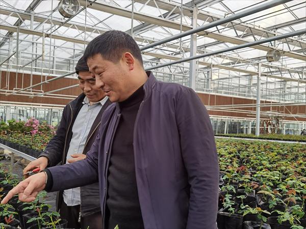 諸新良和農戶一起研究花木種植技術。受訪者供圖