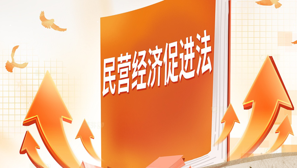 刑事司法視角下的民營(yíng)經(jīng)濟(jì)促進(jìn)法 “涉企犯罪刑事治理”專(zhuān)業(yè)論壇述要